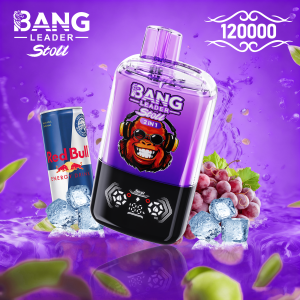 Bang Leader Stoll 120K Puffs 2-in-1 Prefilled Vape | Dual Flavor, Rechargeable