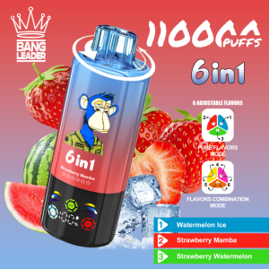 Bang Leader 110K Puffs 6-in-1 Prefilled Vape | 6 Flavors in 1 Device, Rechargeable, 3%-5%